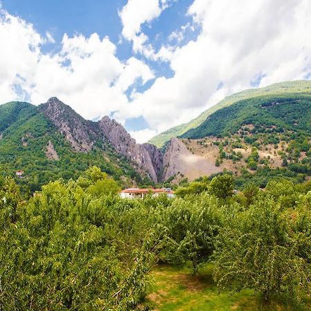 Irenes Resort Káto Loutrákion Zewnętrze zdjęcie